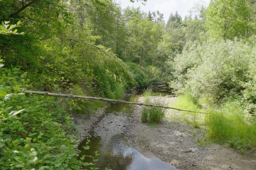 21326 48 Avenue, Langley, BC 