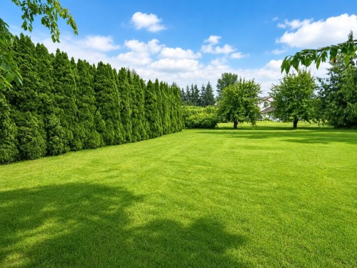 1783 Everett Road, Abbotsford, BC - Outdoor