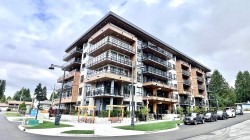 501-10065 133 Street Surrey, BC V3T 3Y6
