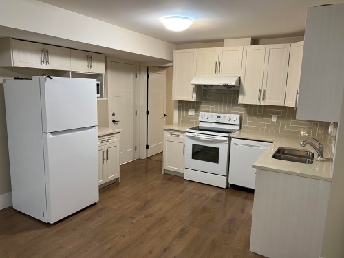 20962 48 Avenue, Langley, BC - Indoor Photo Showing Kitchen With Double Sink