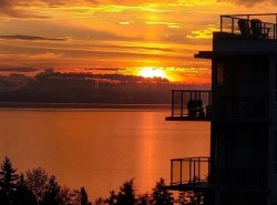 1008-1441 Johnston Road  White Rock, BC V4B 3Z4