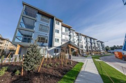 317-13777 75a Avenue Surrey, BC V3W 3W4