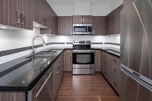 403-20219 54A Avenue, Langley, BC - Indoor Photo Showing Kitchen With Stainless Steel Kitchen With Double Sink With Upgraded Kitchen