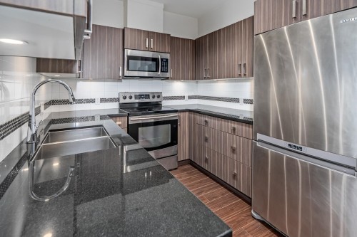 403-20219 54A Avenue, Langley, BC - Indoor Photo Showing Kitchen With Stainless Steel Kitchen With Double Sink With Upgraded Kitchen