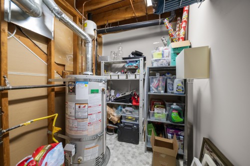 15879 Alder Place, Surrey, BC - Indoor Photo Showing Basement