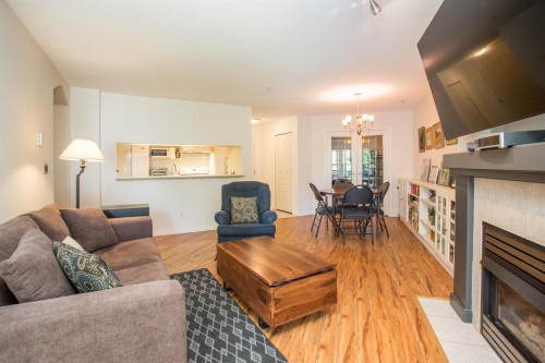 221-19528 Fraser Highway, Surrey, BC - Indoor Photo Showing Living Room With Fireplace