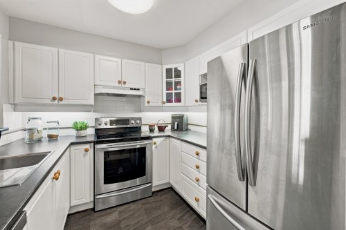 204-20125 55A Avenue, Langley, BC - Indoor Photo Showing Kitchen With Stainless Steel Kitchen