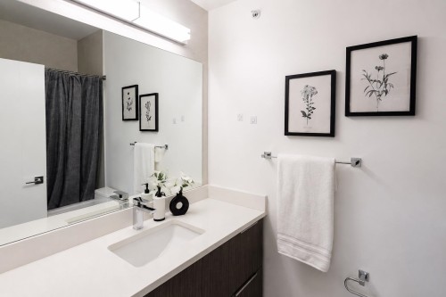 20-19749 55 Avenue, Langley, BC - Indoor Photo Showing Bathroom