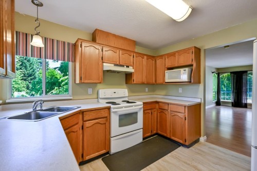 20919 93Rd Avenue, Langley, BC - Indoor Photo Showing Kitchen With Double Sink
