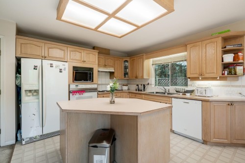 16355 108A Avenue, Surrey, BC - Indoor Photo Showing Kitchen With Double Sink
