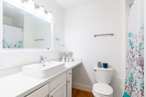 8843 Wooler Terrace, Mission, BC - Indoor Photo Showing Bathroom