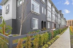 15778 85 Avenue Surrey, BC V4N 6Z2