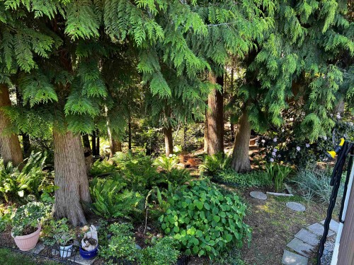 6791 Nicholson Road, Delta, BC - Outdoor