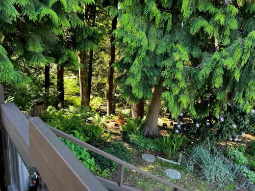 6791 Nicholson Road, Delta, BC - Outdoor
