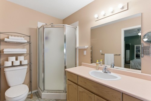 7935 Topper Drive, Mission, BC - Indoor Photo Showing Bathroom