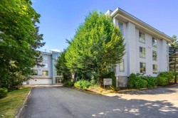204-20350 54 Avenue Langley, BC V3A 8J4