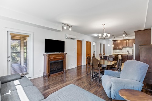 356-8258 207A Street, Langley, BC - Indoor Photo Showing Living Room With Fireplace