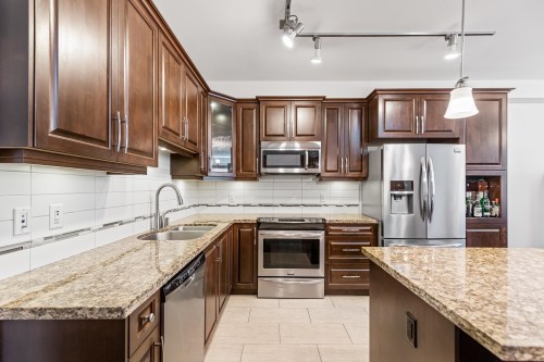 356-8258 207A Street, Langley, BC - Indoor Photo Showing Kitchen With Double Sink With Upgraded Kitchen