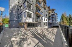 106-33568 George Ferguson Way Abbotsford, BC V2S 2L8