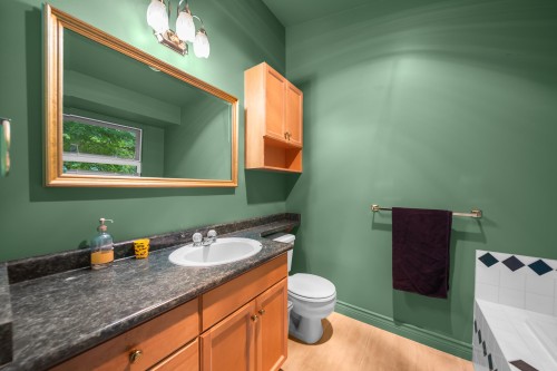 29985 Downes Road, Abbotsford, BC - Indoor Photo Showing Bathroom