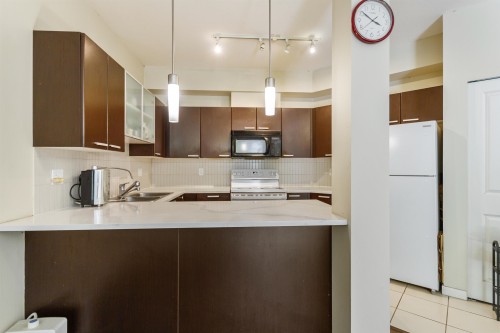 301-10499 University Drive, Surrey, BC - Indoor Photo Showing Kitchen With Double Sink