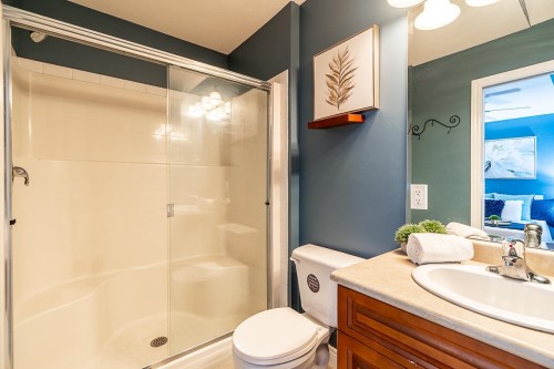26880 25A Avenue, Langley, BC - Indoor Photo Showing Bathroom