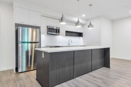 B005-20087 68 Avenue, Langley, BC - Indoor Photo Showing Kitchen With Upgraded Kitchen