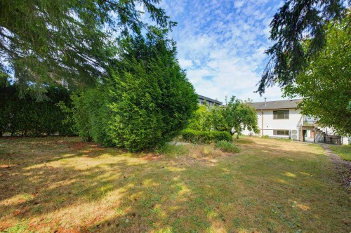 1175 Stevens Street, White Rock, BC - Outdoor