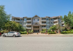 115-8139 121 A Street Surrey, BC V3W 0Z2