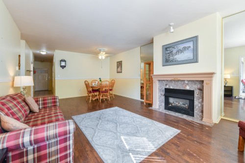 103-20680 56 Avenue, Langley, BC - Indoor Photo Showing Living Room With Fireplace