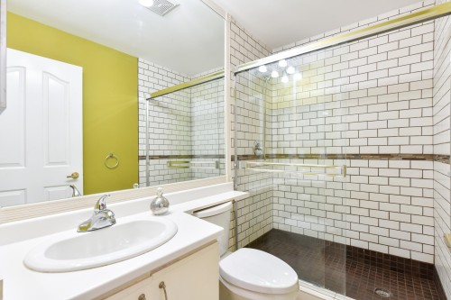 103-20680 56 Avenue, Langley, BC - Indoor Photo Showing Bathroom