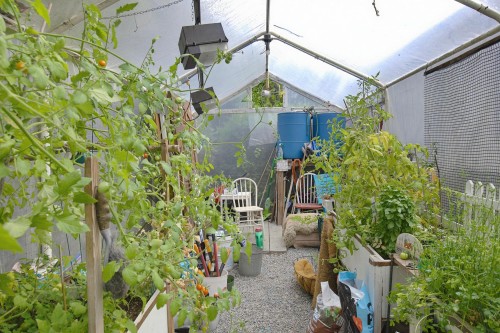 33043 4Th Avenue, Mission, BC - Outdoor