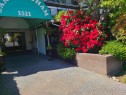 111-1521 Blackwood Street, White Rock, BC  - Outdoor 