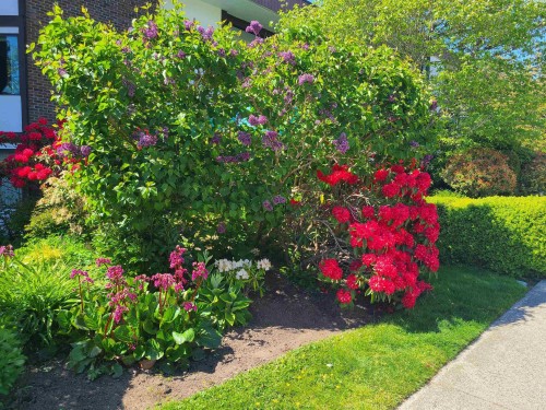111-1521 Blackwood Street, White Rock, BC - Outdoor