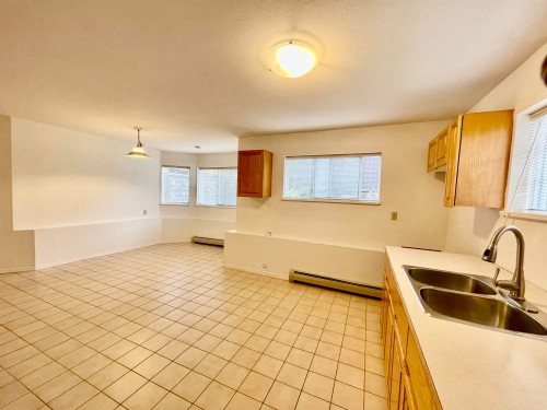 Lower Level-1073X Walnut Close, Surrey, BC - Indoor Photo Showing Kitchen With Double Sink