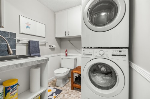 114-31850 Union Avenue, Abbotsford, BC - Indoor Photo Showing Laundry Room