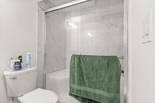 11186 Farms Road, Mission, BC - Indoor Photo Showing Bathroom