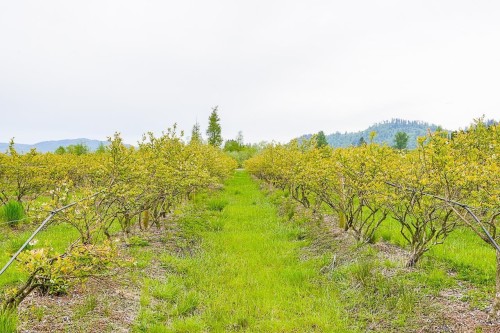 11186 Farms Road, Mission, BC - Outdoor With View