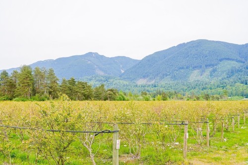 11186 Farms Road, Mission, BC - Outdoor With View
