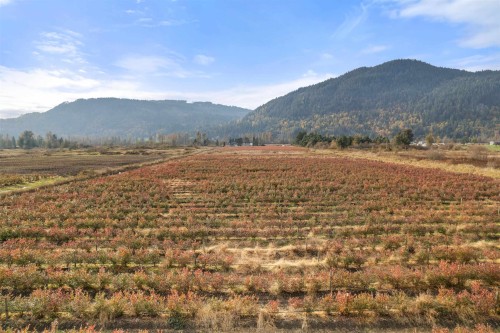 11186 Farms Road, Mission, BC - Outdoor With View