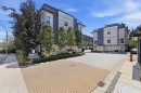 5-16828 Boxwood Drive, Surrey, BC  - Outdoor 