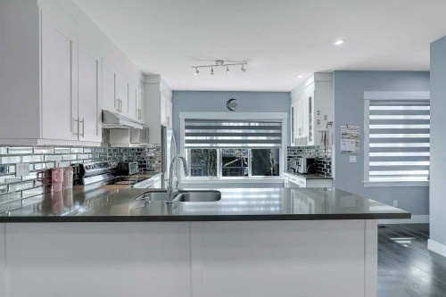 17-6971 122 Street, Surrey, BC - Indoor Photo Showing Kitchen With Double Sink