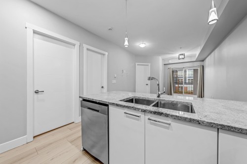 208-20175 53 Avenue, Langley, BC - Indoor Photo Showing Kitchen With Double Sink