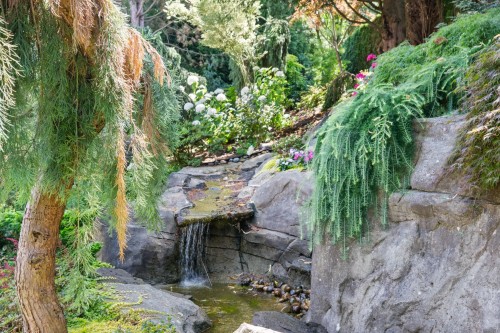 68-15715 34 Avenue, Surrey, BC - Outdoor