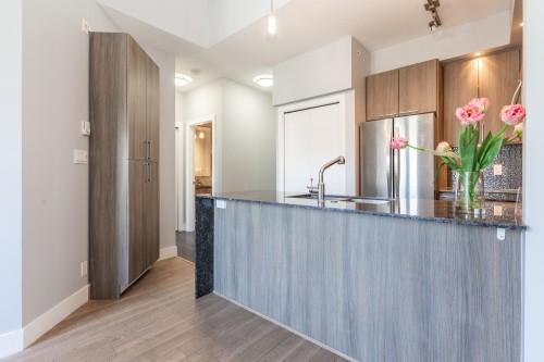 B401-20211 66 Avenue, Langley, BC - Indoor Photo Showing Kitchen