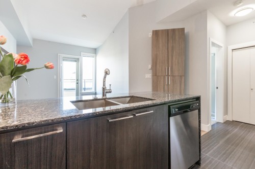 B401-20211 66 Avenue, Langley, BC - Indoor Photo Showing Kitchen With Double Sink With Upgraded Kitchen