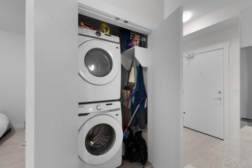 107-32690 14 Avenue, Mission, BC - Indoor Photo Showing Laundry Room