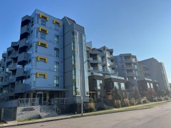 504-32838 Landeau Place Abbotsford, BC V2S 0M6