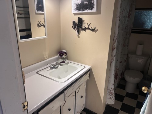 27165 29 Avenue, Langley, BC - Indoor Photo Showing Bathroom