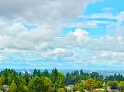1911-10448 University Drive Surrey, BC V3T 0S7